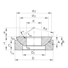 Подшипник GE25-AX INA