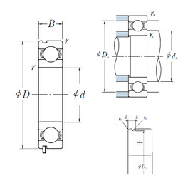 Bantalan 6006N NSK