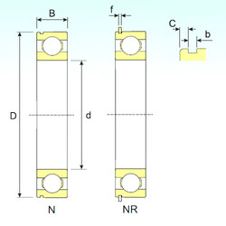 Bantalan 6020 NR ISB