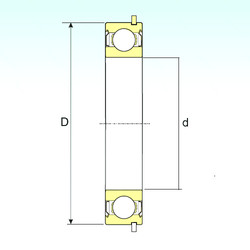 Bantalan 6005-ZZNR ISB