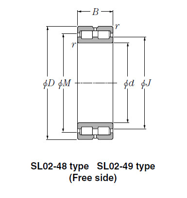 Bearing SL01-4936