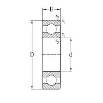 Bantalan 6060-M NKE