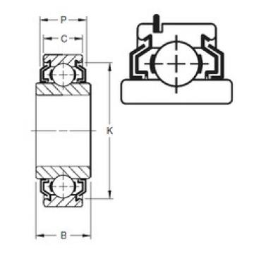 Bantalan 207KLLG Timken