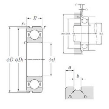 Bantalan 6006N NTN