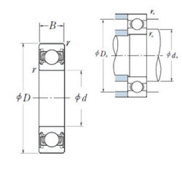 Bantalan 6005VV NSK