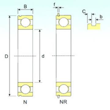 Bantalan 6020 NR ISB