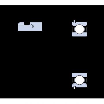 Bantalan 6004-2ZNR SKF