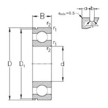 Bantalan 6005-N NKE