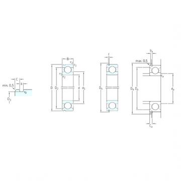 Bantalan 6020NR SKF