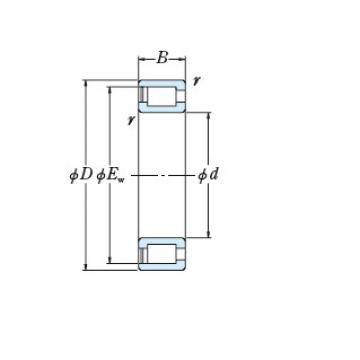 Bearing RS-5044