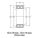 Bearing SL01-4920