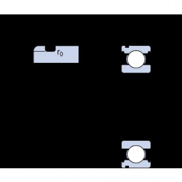 Bantalan 6004 N SKF #1 image