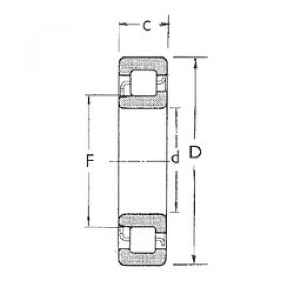 Подшипник NJ204 FBJ #1 image