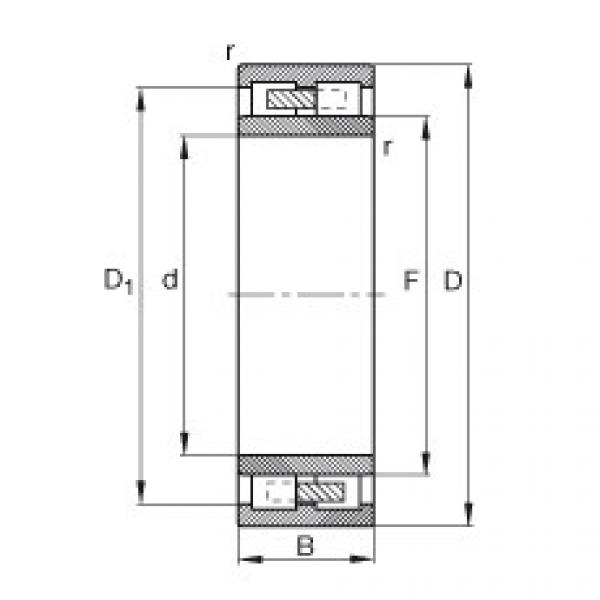 Подшипник NNU4126-M FAG #1 image